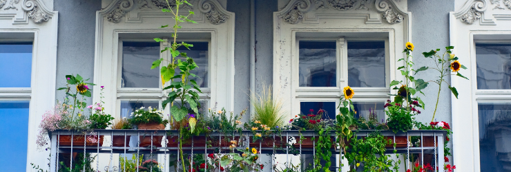 balcon aménagé avec fleurs et plantes
