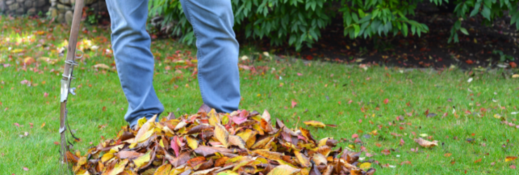 Personne qui ratisse les feuilles de son jardin