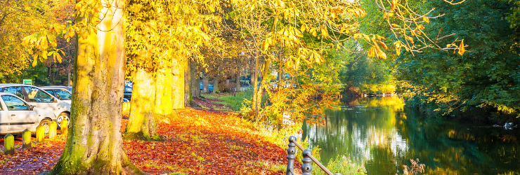 Photo d'arbre et du canal de la Deûle à Lille montrant que Lille est une ville agréable et donc attractive pour l'investissement locatif